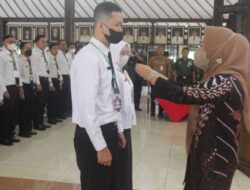 Ini Dia Perbedaan Kategori Pelamar P1, P2, dan P3 PPPK Guru