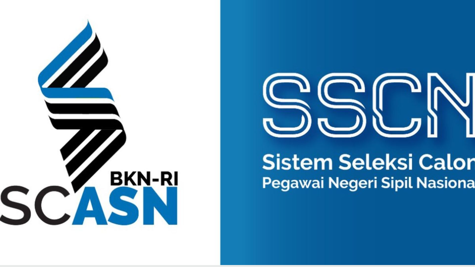 Sudah Resmi Dibuka! Ini Cara Daftar Seleksi CPNS dan PPPK 2023 1 CPNS dan PPPK